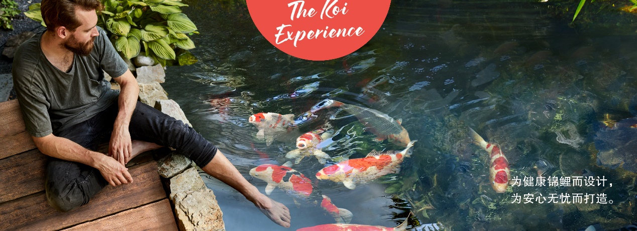 錦鯉魚池過濾廠家 錦鯉魚池過濾廠家