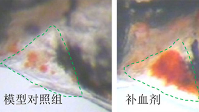河南品牌产品功效认证测试服务电话 上海统标检测认证供应;