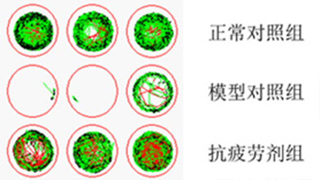 浙江產(chǎn)品功效認證測試質(zhì)量 上海統(tǒng)標檢測認證供應(yīng)