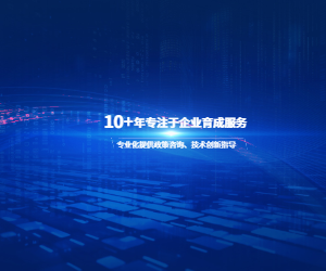 河北昭策科技有限公司政策咨询服务