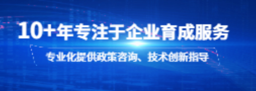 对于制造业企业企业项目申报全流程服务