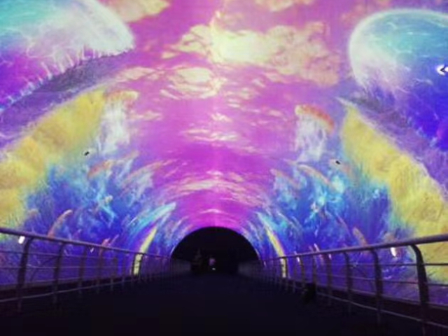 河南华录投影机维修,投影机