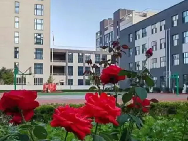 密云區(qū)當?shù)卣n程撮合哪家便宜