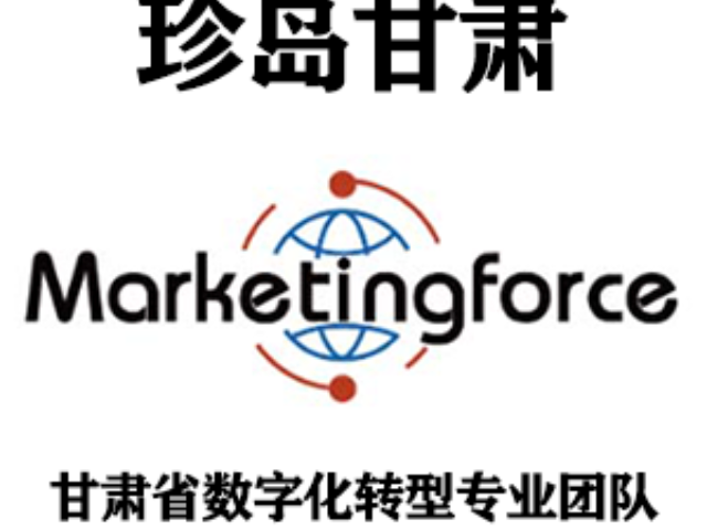 庆阳上门线上推广价格,线上推广