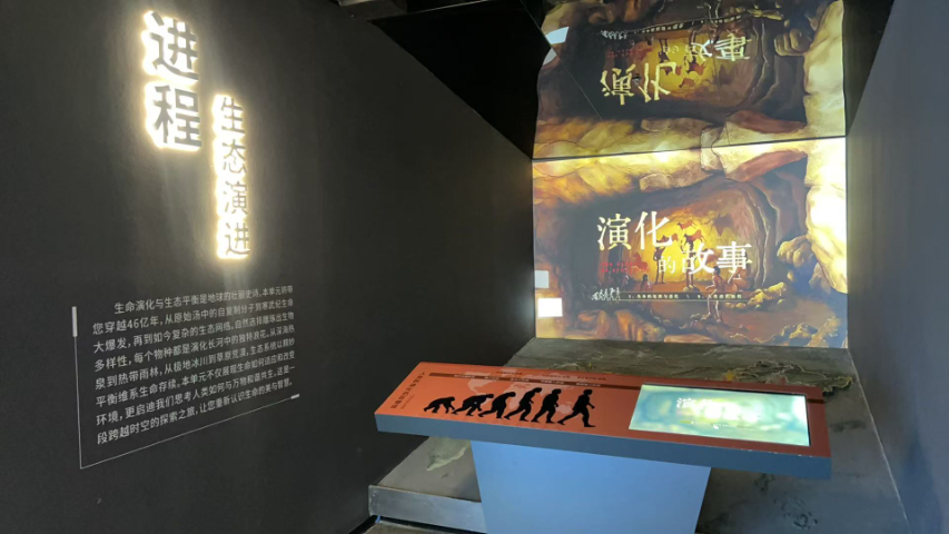 西藏VR展覽館展廳設(shè)計(jì)廠家推薦 武漢市啟智園科技供應(yīng)
