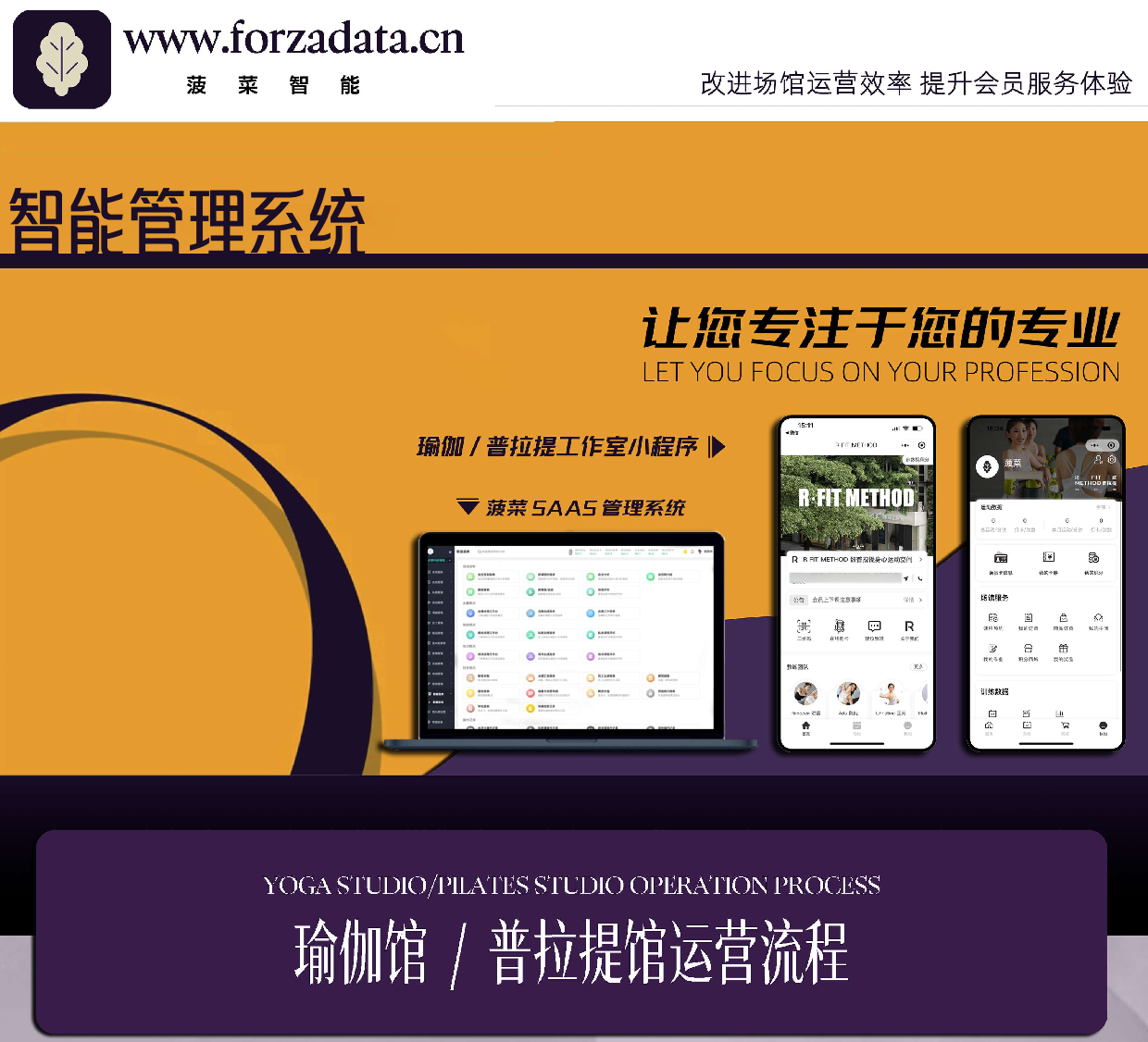 菠菜系统靠谱吗:数据与案例解析健身数字化实力