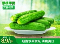 朝露水果黄瓜