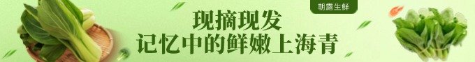 曹路上海青 新鲜蔬菜