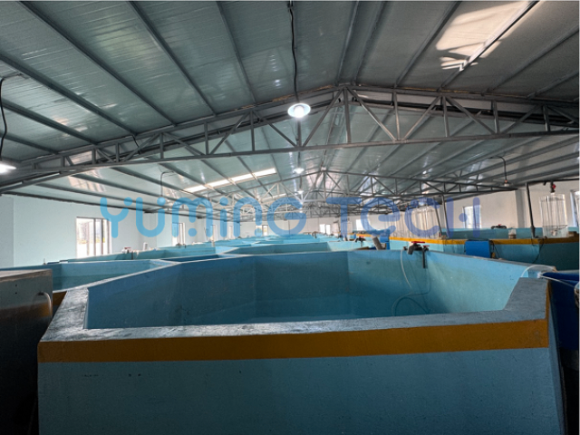 上海水產(chǎn)養(yǎng)殖哪家靠譜 歡迎來電 上海昱茗科技供應(yīng)