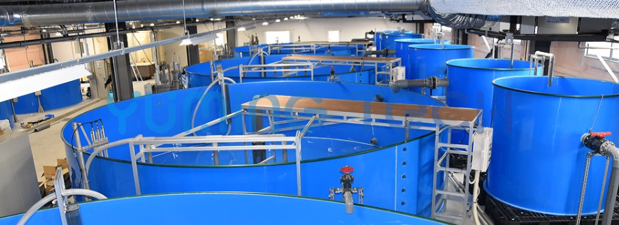 上海昱茗水產(chǎn)養(yǎng)殖服務(wù) 真誠(chéng)推薦 上海昱茗科技供應(yīng)