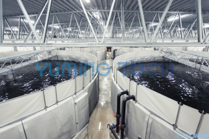 上海昱茗工廠化水產(chǎn)養(yǎng)殖價格 信息推薦 上海昱茗科技供應(yīng)