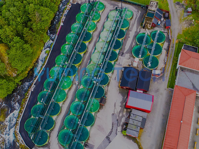 上海水產(chǎn)養(yǎng)殖哪家實(shí)惠 信息推薦 上海昱茗科技供應(yīng)