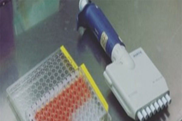 經典名方開發：傳承與創新的結合