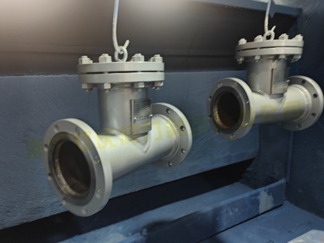 浙江T 型卡箍式過濾器T型過濾器管道用 T 型過濾器 客戶至上 浙江雙慶閥門制造供應(yīng)