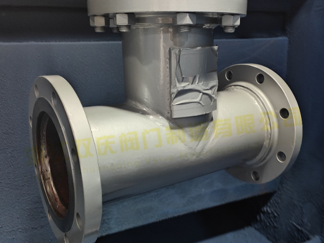 浙江T 型防护过滤器T型过滤器水处理 T 型过滤器 推荐咨询 浙江双庆阀门制造供应