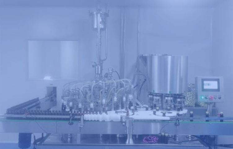 云南食品级桦树茸产品代工贴牌