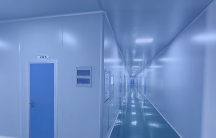 江苏有资质桦树茸产品代工贴牌