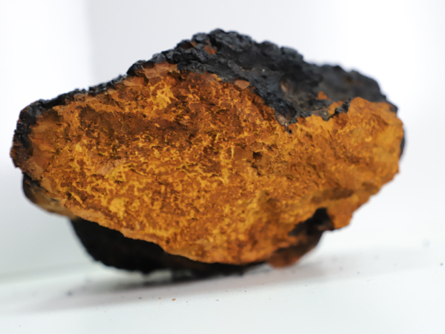 无硫熏桦树茸（白桦茸,西伯利亚灵芝）品质佳选,桦树茸（白桦茸,西伯利亚灵芝）