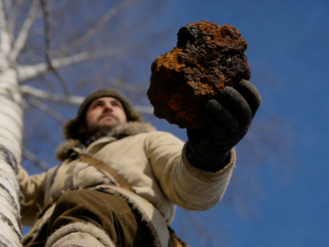上海桦树茸（白桦茸,西伯利亚灵芝）服务电话,桦树茸（白桦茸,西伯利亚灵芝）