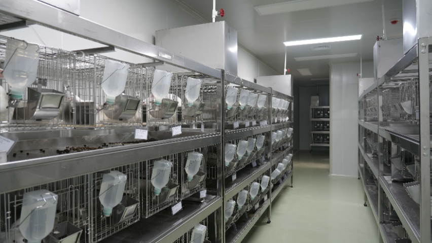 深圳羊動物實驗外包公司 歡迎咨詢 江西中洪博元生物技術(shù)供應(yīng)