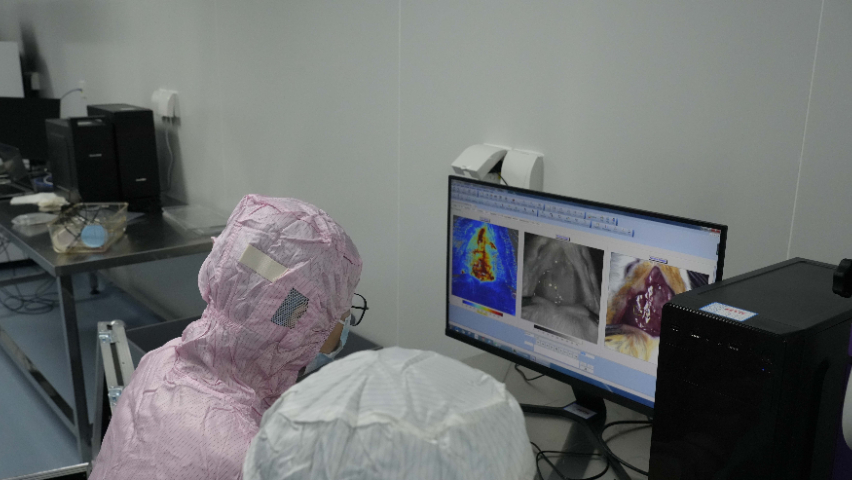 南昌國(guó)內(nèi)比較好的cro公司有哪些 來(lái)電咨詢 江西中洪博元生物技術(shù)供應(yīng)