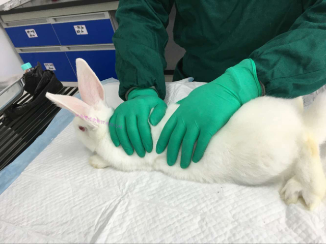 齊齊哈爾臨床前cro哪家好 歡迎咨詢 江西中洪博元生物技術供應