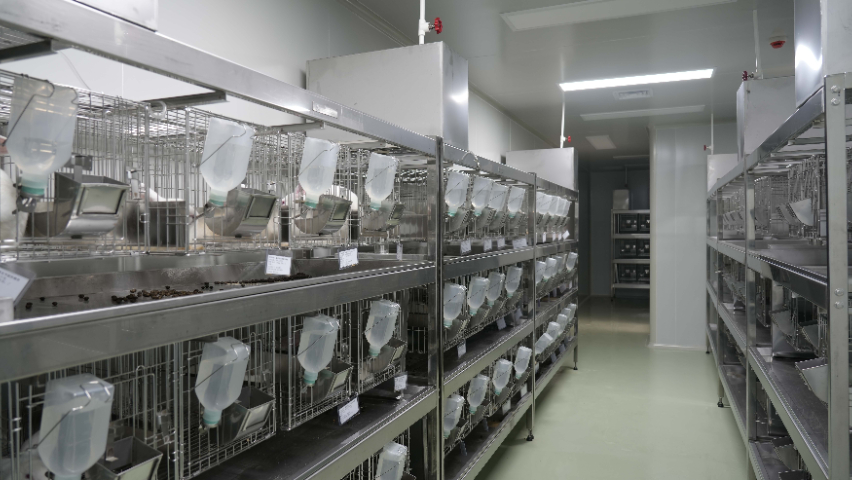 深圳臨床前藥效試驗cro外包 歡迎來電 江西中洪博元生物技術(shù)供應(yīng)