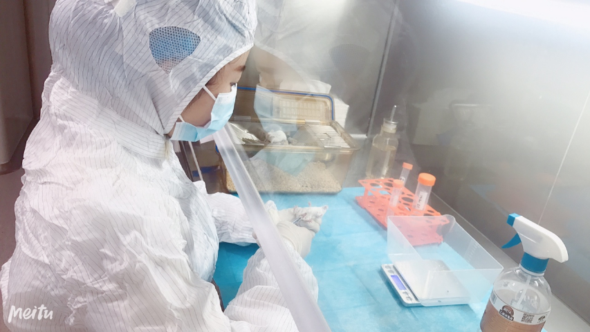 連云港臨床前藥理cro公司 值得信賴 江西中洪博元生物技術(shù)供應(yīng)