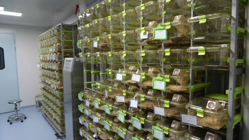 紹興臨床前cro收費 歡迎咨詢 江西中洪博元生物技術供應