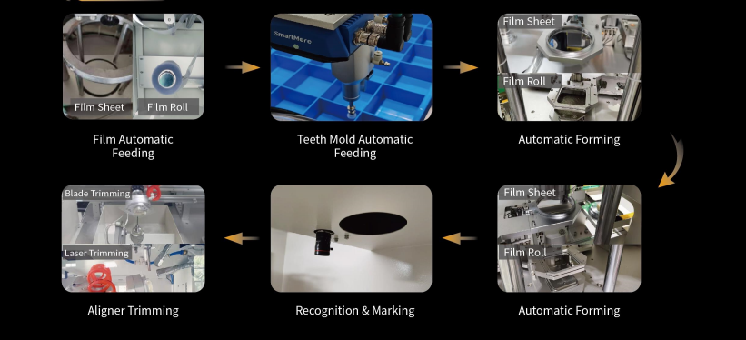 1cb73c440e1798da9b81e77b25877902