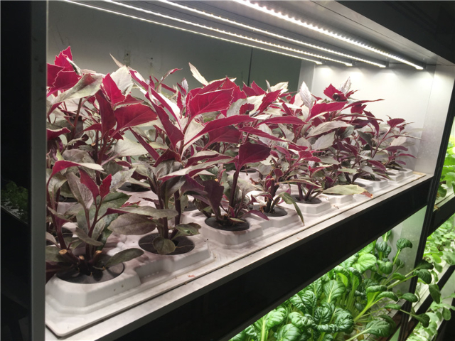 浙江無(wú)人機(jī)外殼件吸塑銷售廠 金華紹騰塑業(yè)供應(yīng)