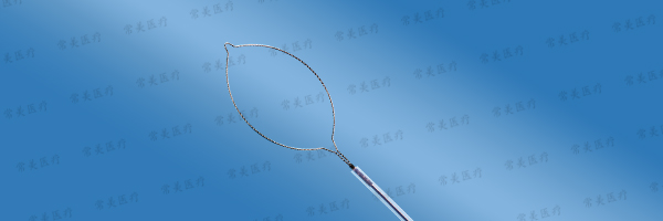 圈套器|息肉|肠胃