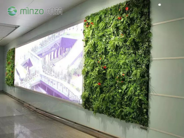 足球草塑料綠植費(fèi)用是多少,塑料綠植