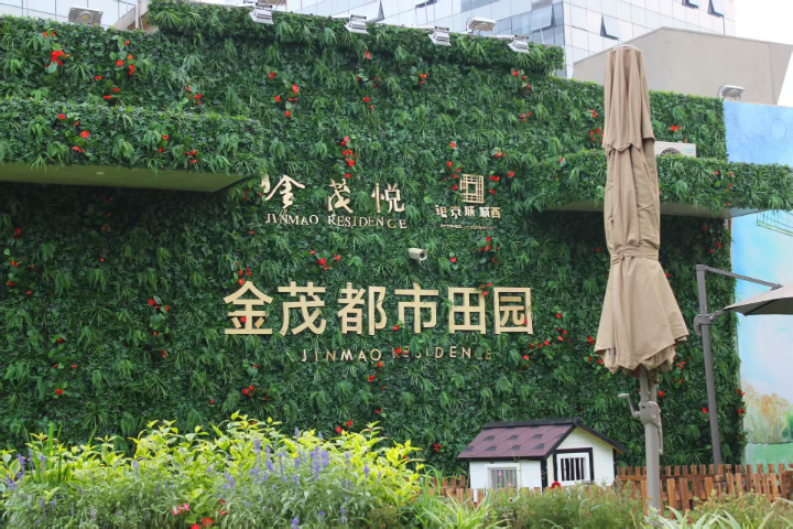 天津仿真植物厂家供货 诚信为本 浙江明筑新材料股份供应
