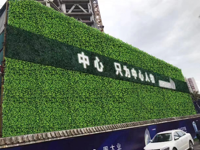 台州不褪色仿真植物多少钱,仿真植物