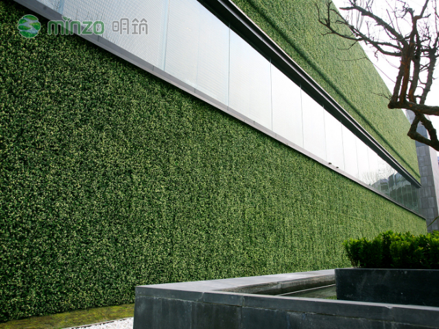 上海塑料绿植代理商