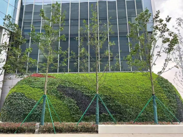 山西仿真綠植室內(nèi),仿真綠植