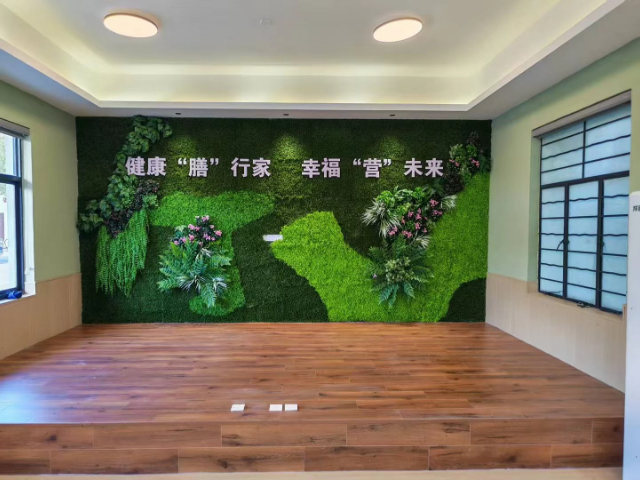 浙江省不褪色仿真綠植實力大廠