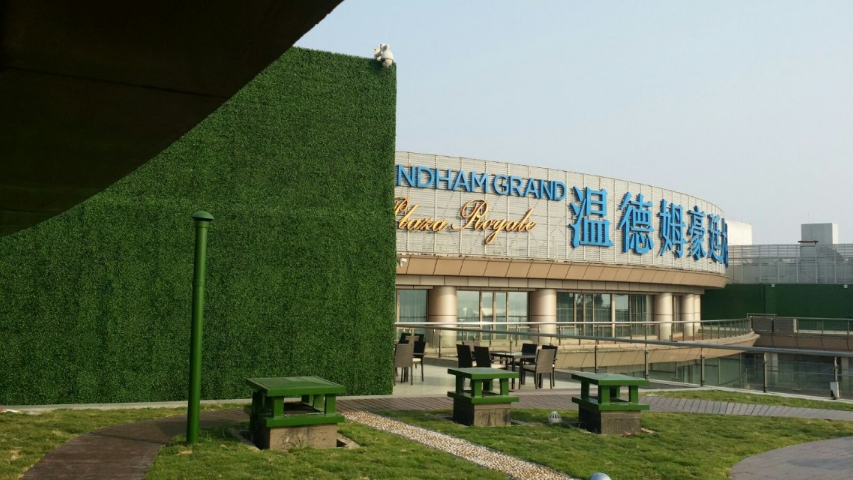 臺(tái)州耐侯仿真綠植品牌,仿真綠植