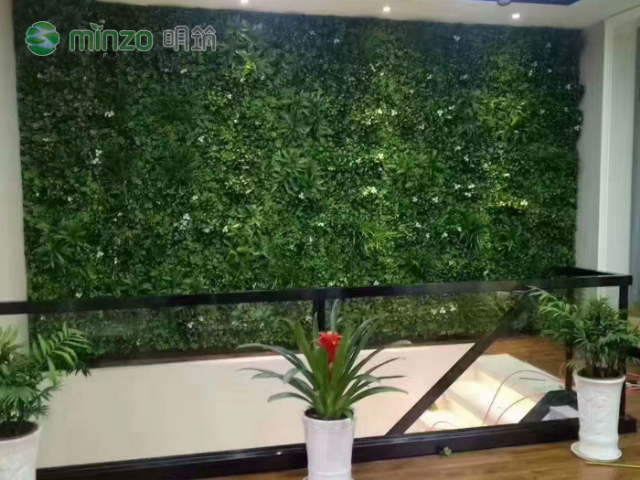 浙江塑料綠植有哪些,塑料綠植