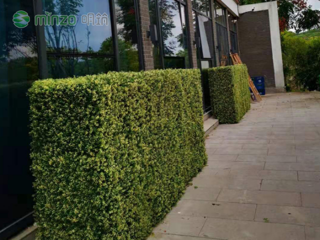 塑料绿植市场,塑料绿植
