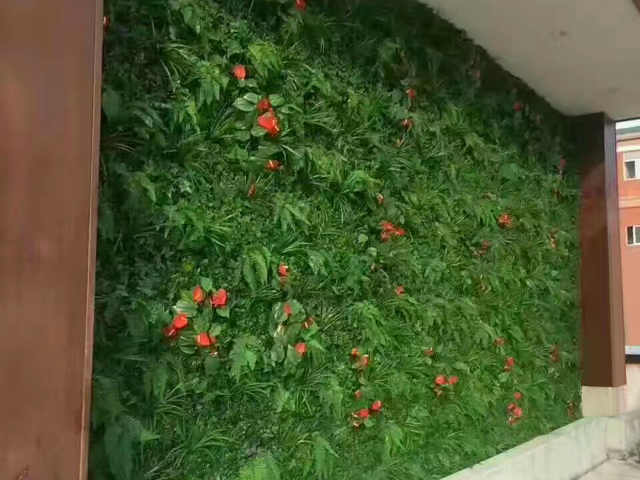 足球草塑料绿植市场价格,塑料绿植
