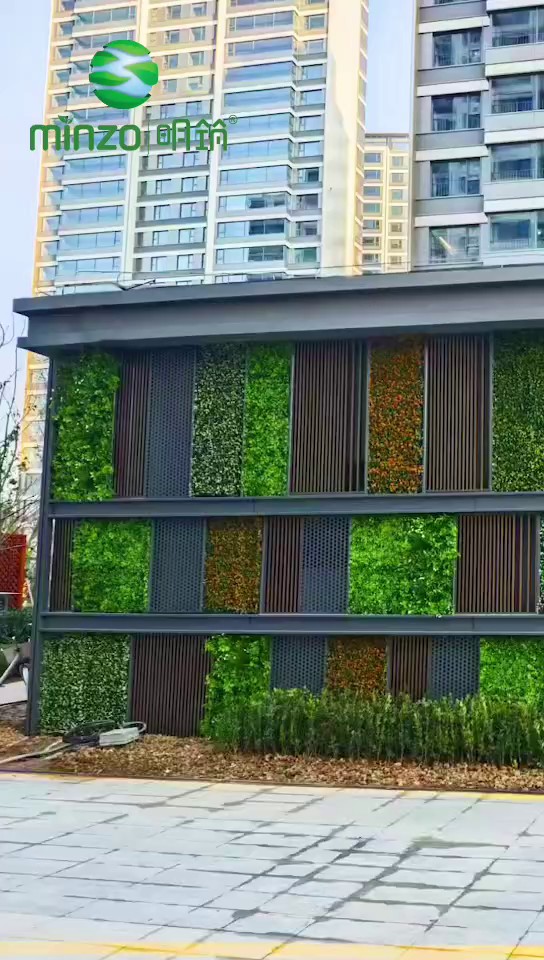 足球草塑料绿植市场价格,塑料绿植