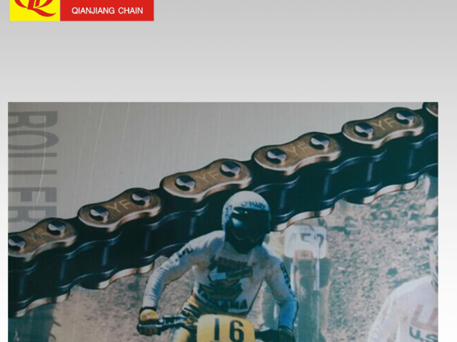 天津賽車摩托車鏈條配件批發(fā) 杭州錢江鏈傳動(dòng)供應(yīng)