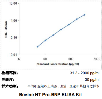 牛的N端腦鈉肽前體(NT-proBNP) ELISA 試劑盒 BG-BVN11639