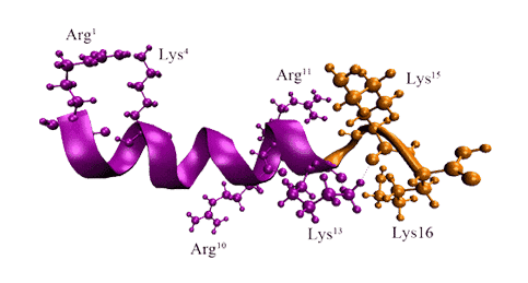 胃泌素釋放肽(1-16)(豬) PE-100261