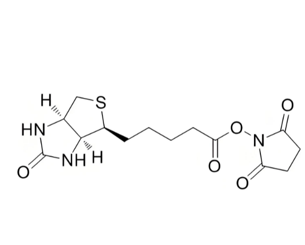 生物素-琥珀酰亞胺酯
