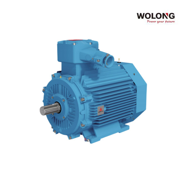 臥龍南陽(yáng)YBX5系列防爆電機(jī)