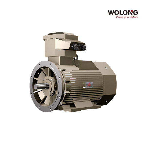 臥龍電氣YE5/WE5系列超高效電機
