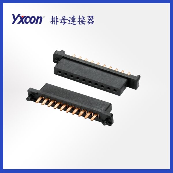 H2.0*5.8特殊排母 1*10P 180度 帶外柱 